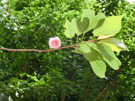 b0190666_23581526.jpg