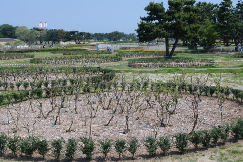 e0045768_21474451.jpg