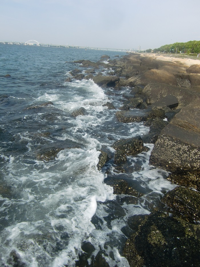 f0238779_18505392.jpg