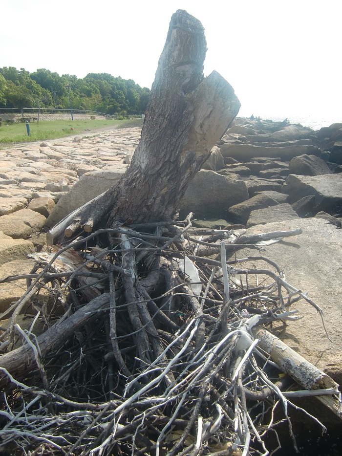 f0238779_1851715.jpg