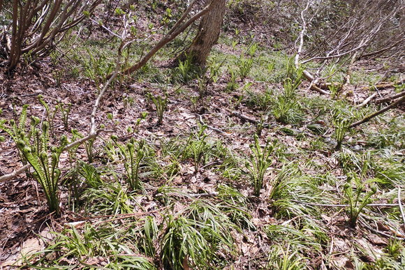 c0237780_12584797.jpg