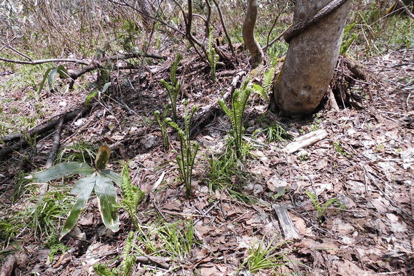 c0237780_12591190.jpg