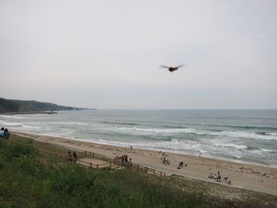 e0012580_23241327.jpg