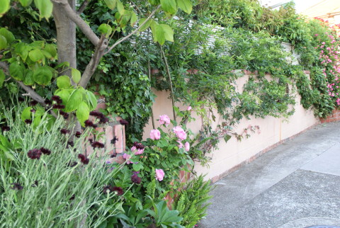 e0154682_01282524.jpg