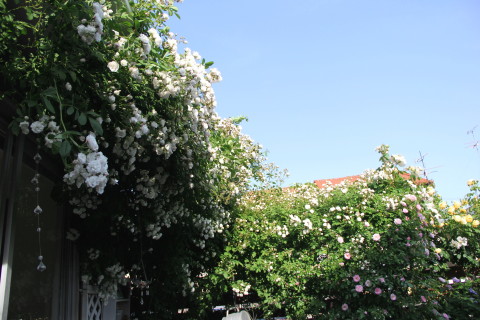 e0154682_01301320.jpg