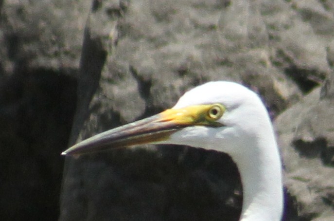 e0197884_1951655.jpg