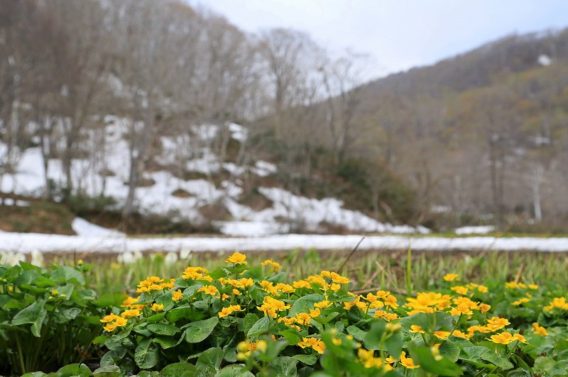 f0000789_14462987.jpg