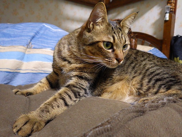 a0159490_14284765.jpg