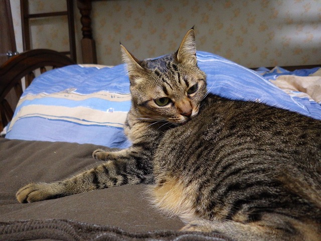 a0159490_14284950.jpg