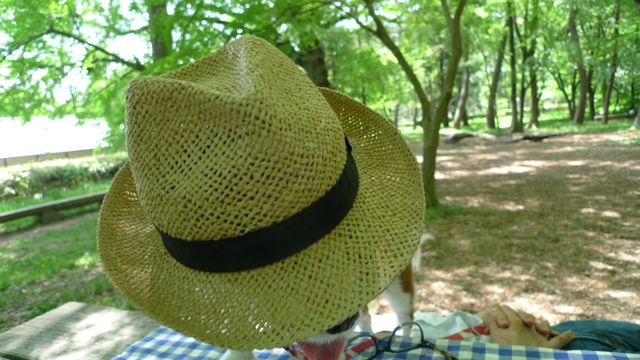 a0079292_1817474.jpg