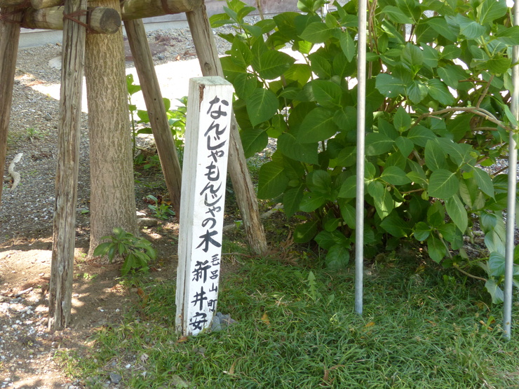 c0324393_17505921.jpg