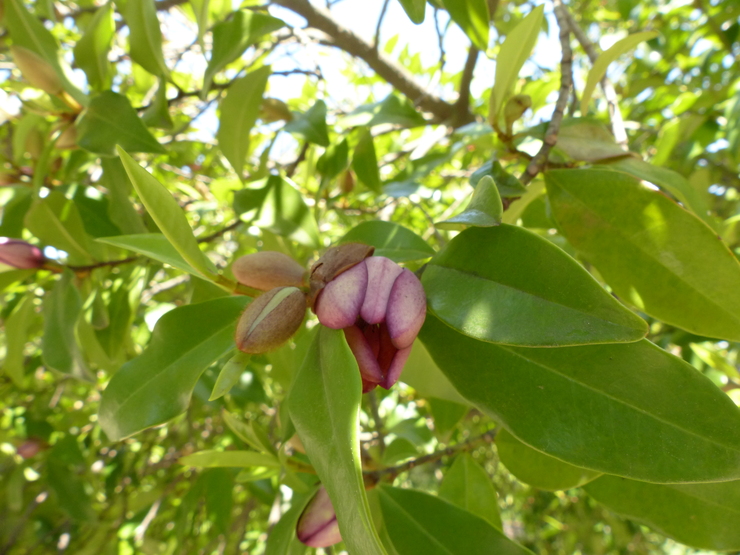 c0324393_17551612.jpg