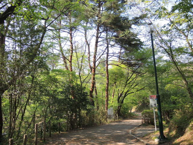 f0100593_18570380.jpg