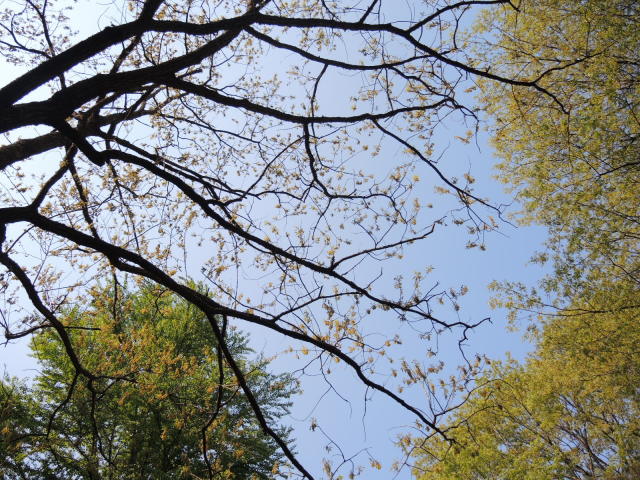 f0100593_18572042.jpg