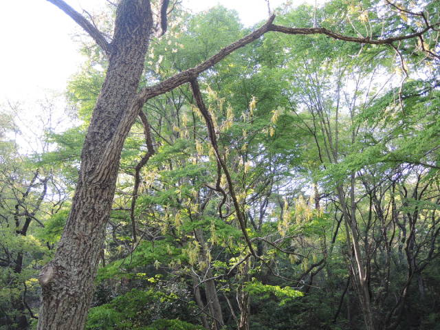 f0100593_18572430.jpg