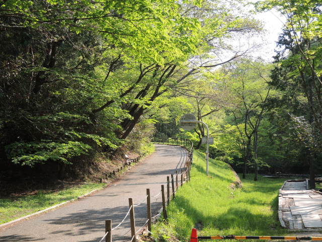 f0100593_18580584.jpg