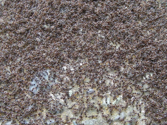 d0046294_9431867.jpg