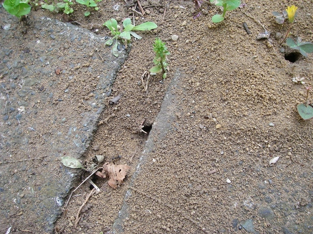 d0046294_9481514.jpg