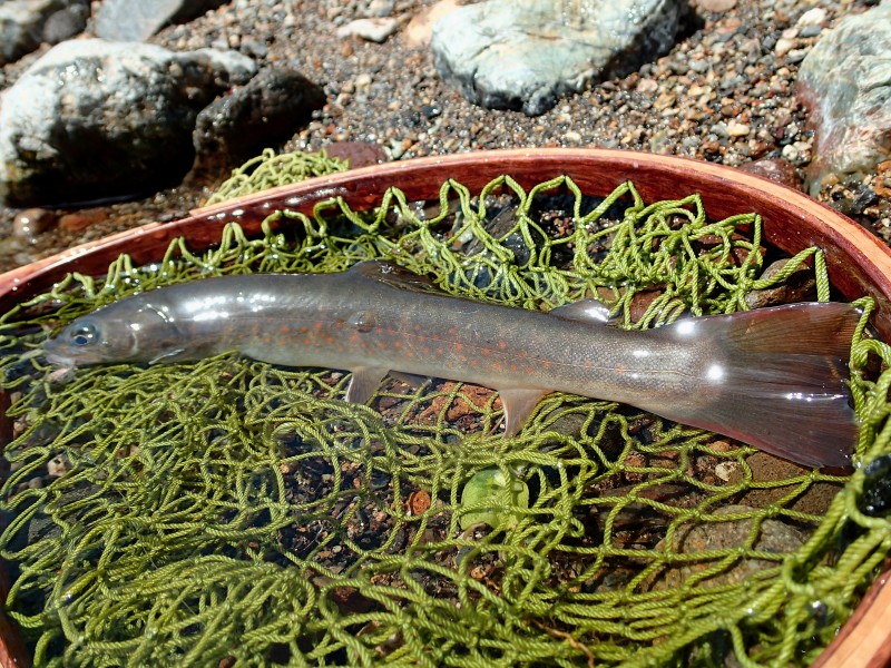 f0129994_2393874.jpg