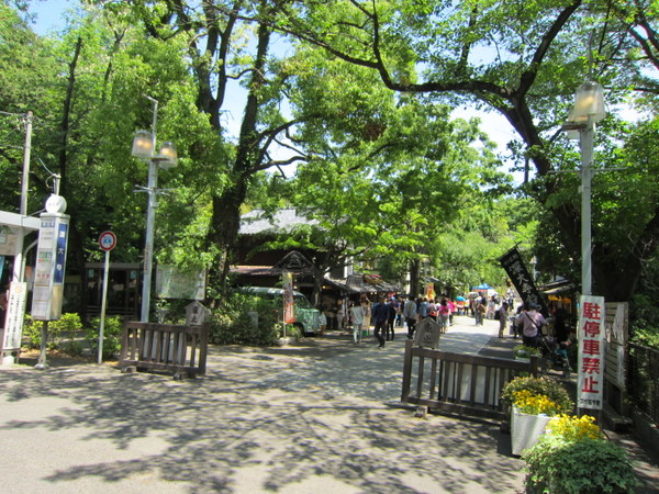 d0098295_22494173.jpg