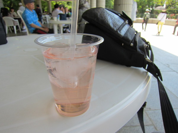 d0098295_2361971.jpg