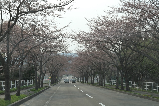 b0204498_2334164.jpg