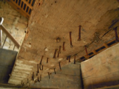 e0206902_629644.jpg