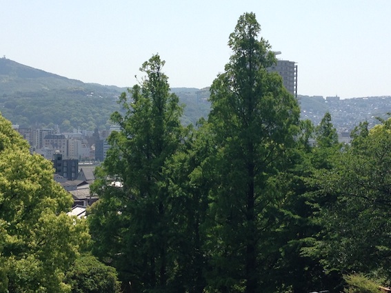 b0009103_3551315.jpg