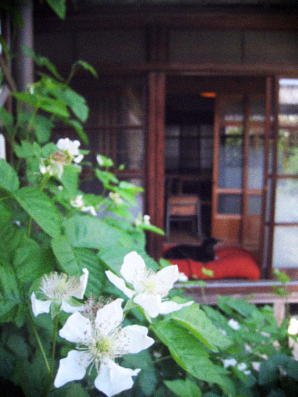 d0077603_10415518.jpg