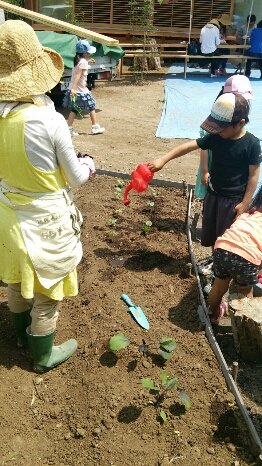 c0256116_545189.jpg