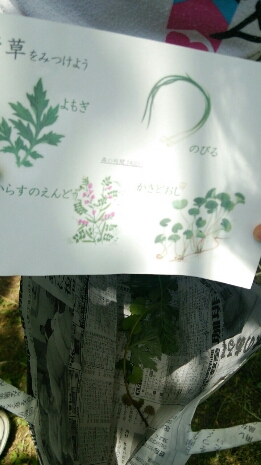c0256116_5474446.jpg