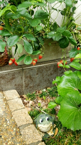 c0256116_9281511.jpg