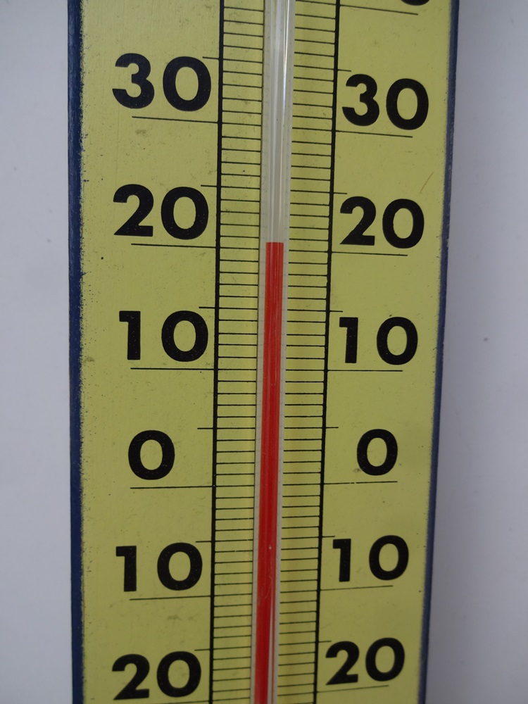 c0111229_2122930.jpg