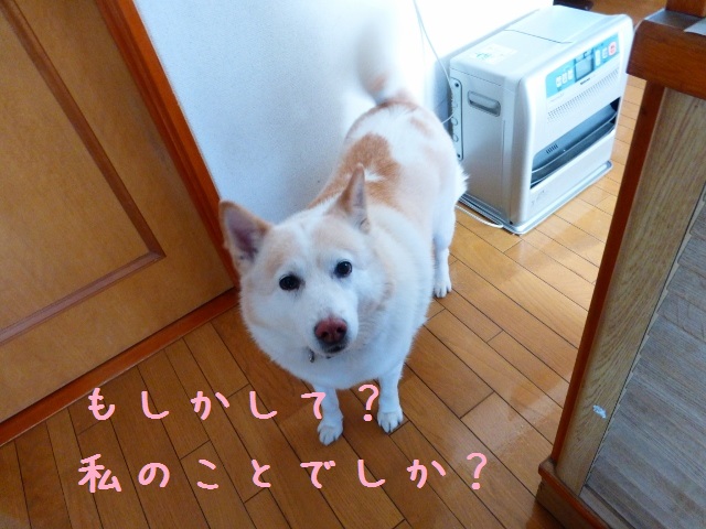 b0138430_15461774.jpg