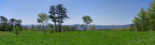 b0312736_11481150.jpg