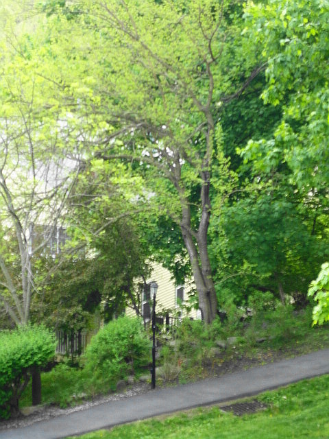 a0224537_5584397.jpg