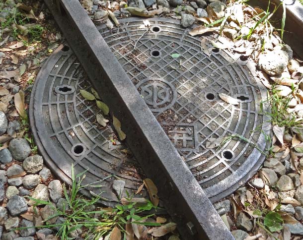 c0184737_19142819.jpg