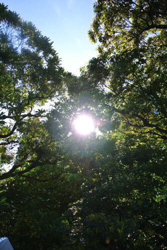 e0269537_13162056.jpg