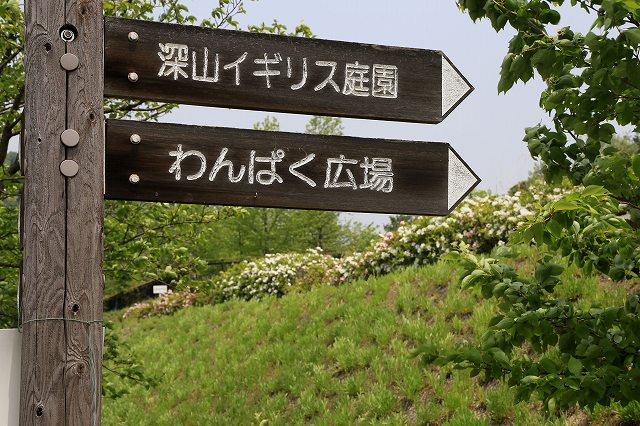 a0242438_2022315.jpg
