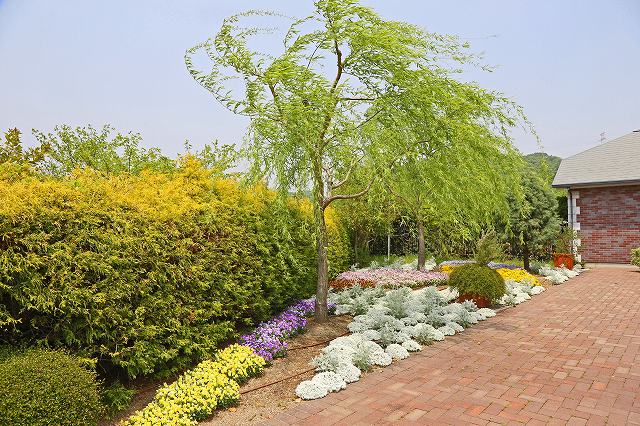 a0242438_20225141.jpg