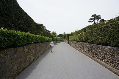 c0070439_2305528.jpg