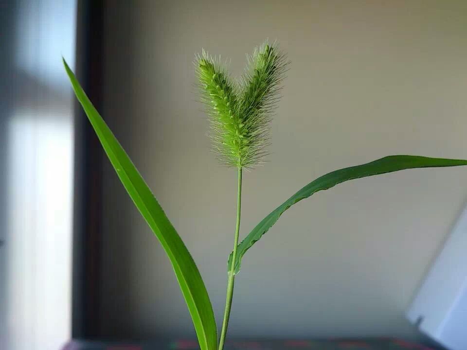 c0292342_15213432.jpeg