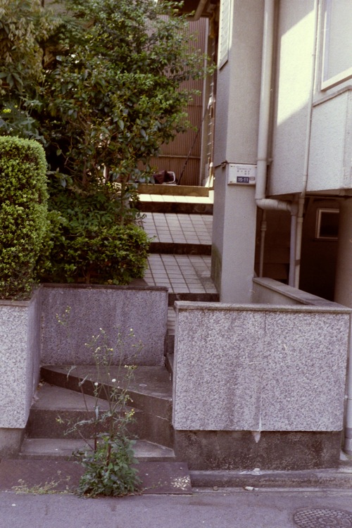 d0089742_0584293.jpg
