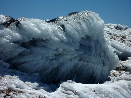 c0081645_2257559.jpg
