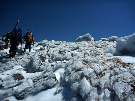 c0081645_225797.jpg