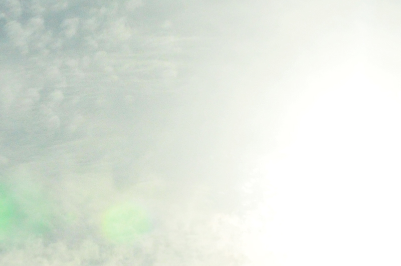 d0018646_951581.jpg
