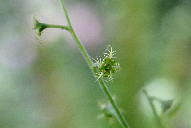 f0214649_910214.jpg