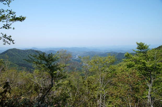 f0214649_911432.jpg