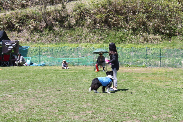 a0157156_21233055.jpg