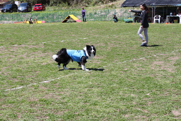 a0157156_2124281.jpg